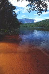 The River of Gold?  No, the tannin-stained Rio Carrao on the way to Angel Falls