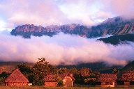 Phallanx of Kukenan (Matawi)