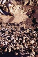 miner