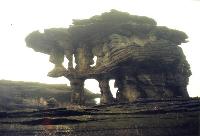 Zoomorphic rock sculptures on top of Roraima