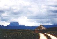 Ptari Tepuy, on the road to Liwo Riwo
